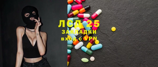 гашик Гусь-Хрустальный