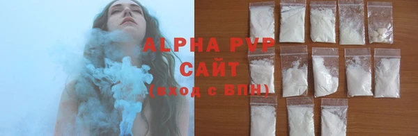 гашик Гусь-Хрустальный