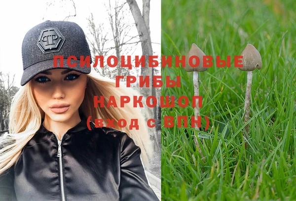 гашик Гусь-Хрустальный