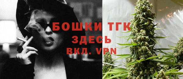 стаф Гусиноозёрск