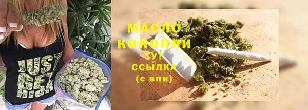 гашик Гусь-Хрустальный