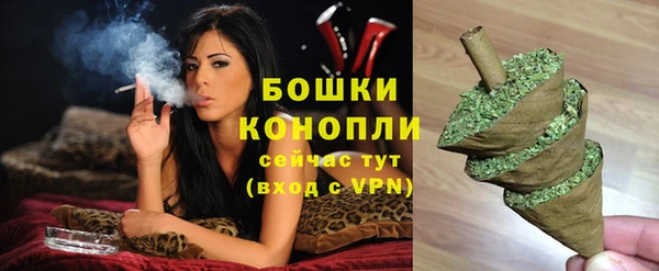 хмурый Горняк