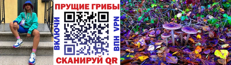 магазин    Разумное  Галлюциногенные грибы мицелий 